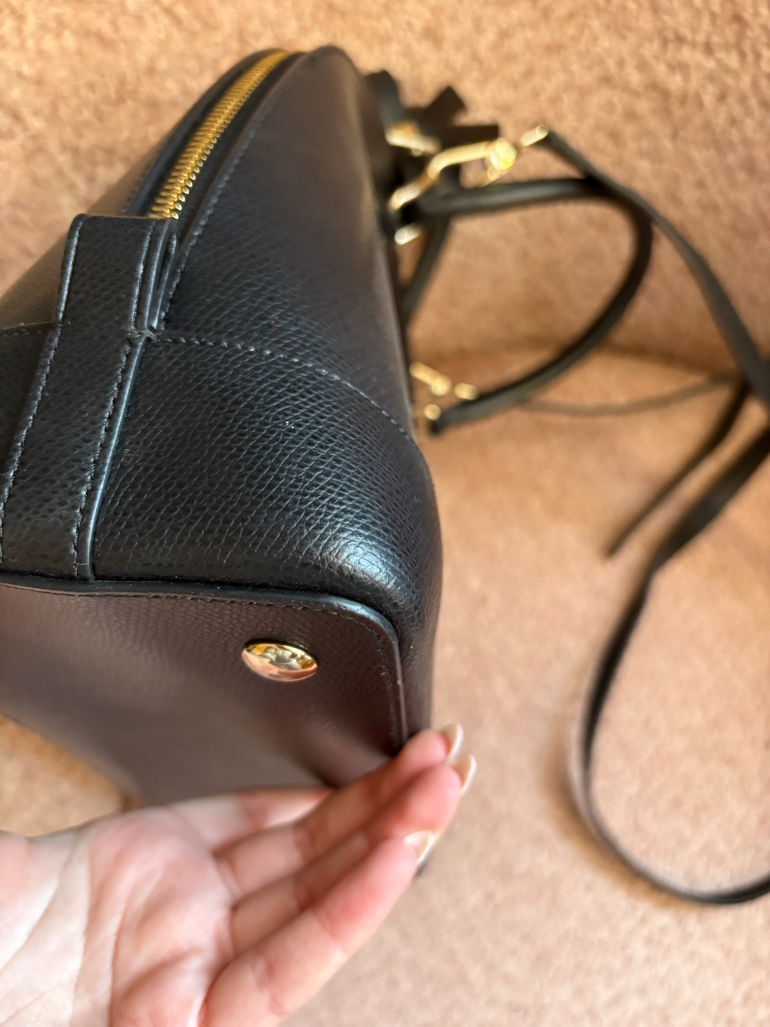 Sierra GM. – Image 9